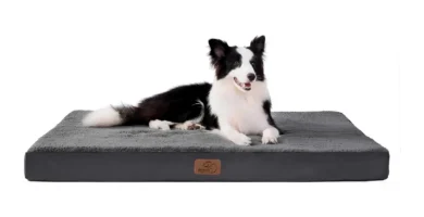 camas-para-perros-grande